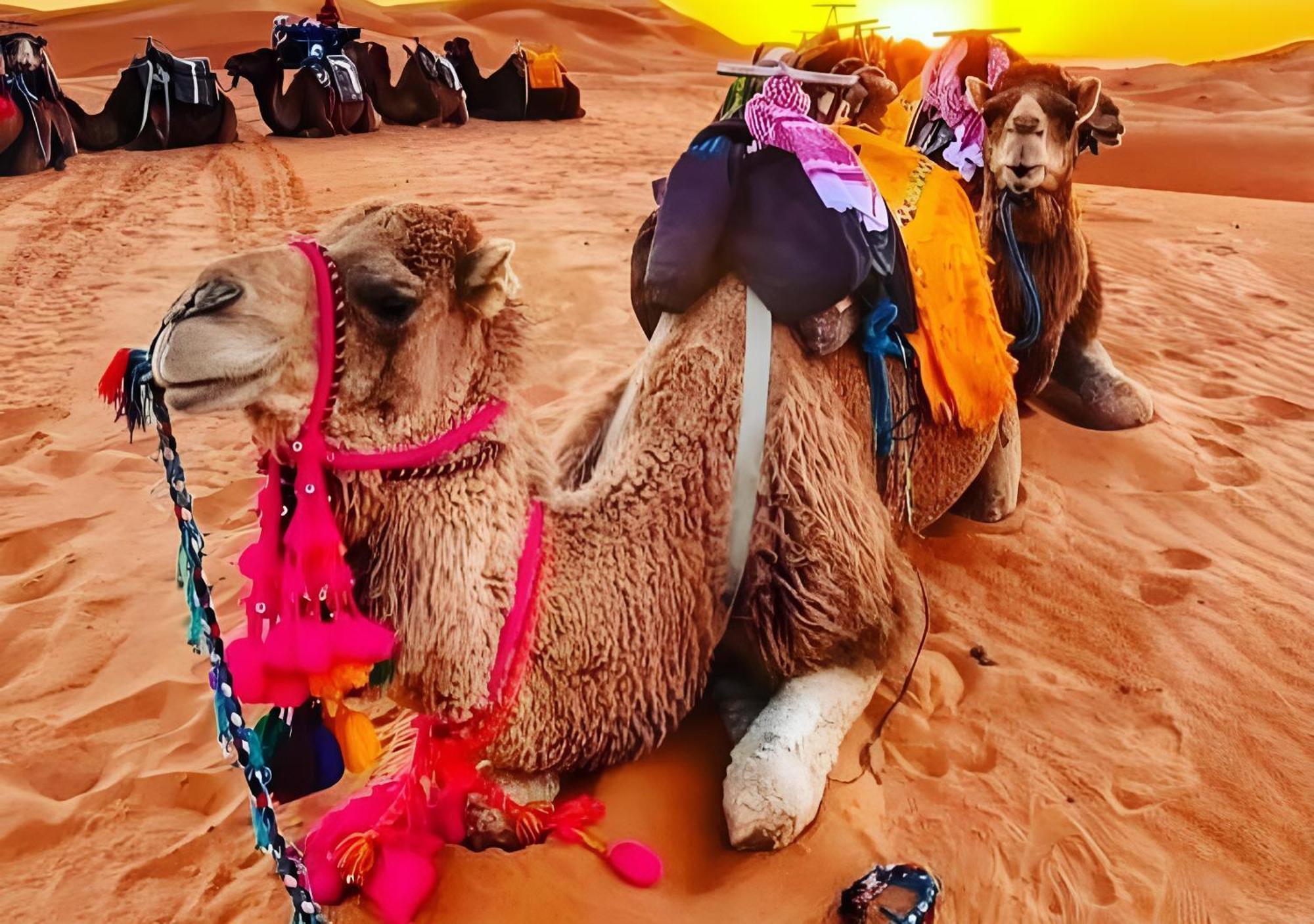 Merzouga Luxurious Tented Екстериор снимка